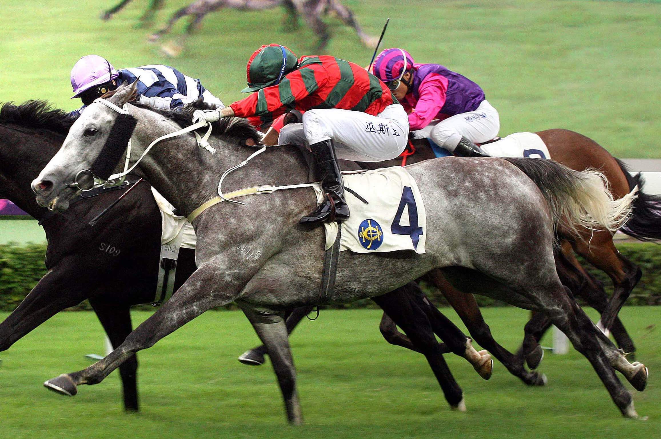 Hong Kong’s five greatest equine enigmas Asian Racing Report