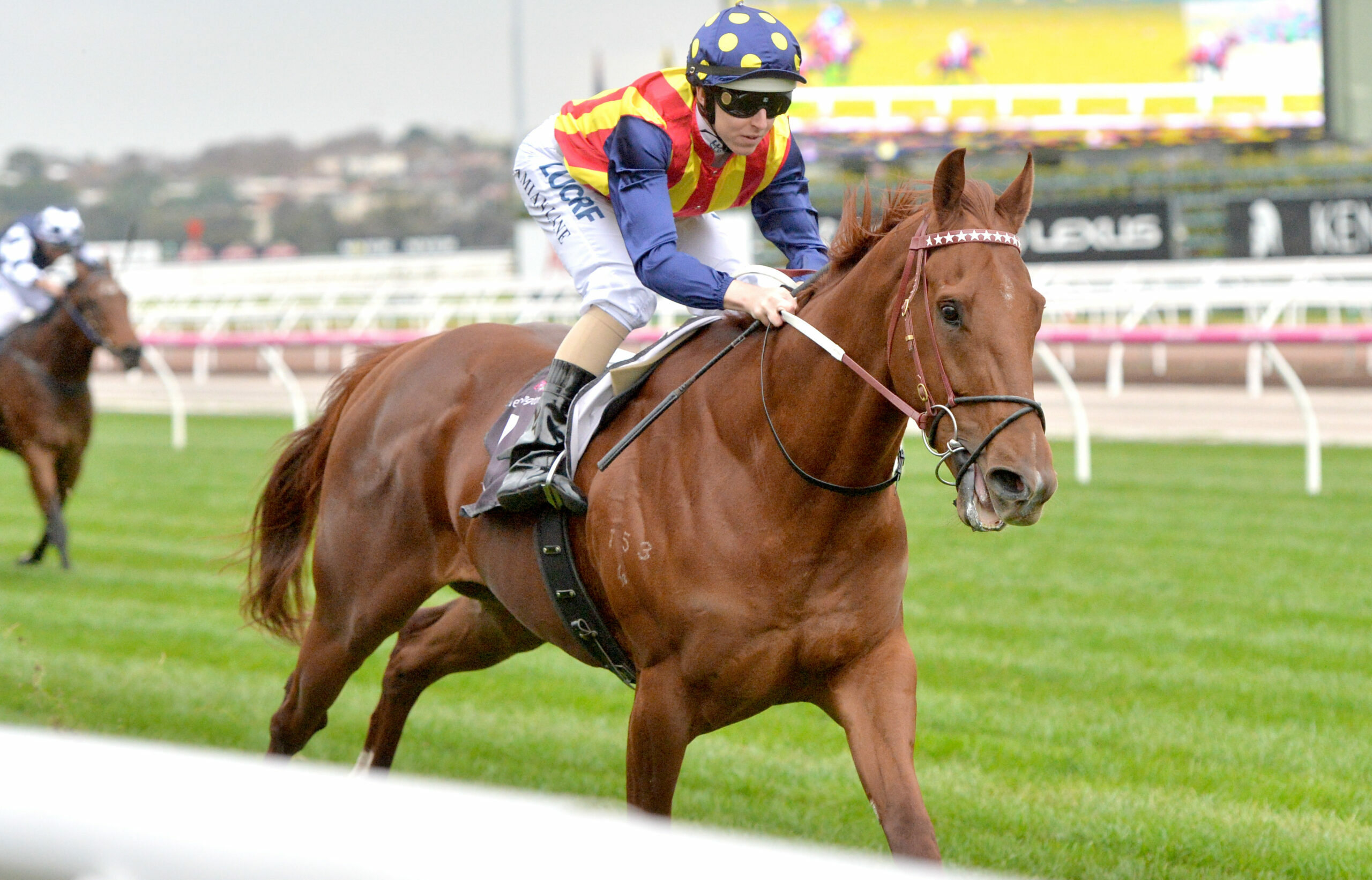 World's top-rated horse, Equinox, wins in Japan as Royal Ascot wraps up in  England 