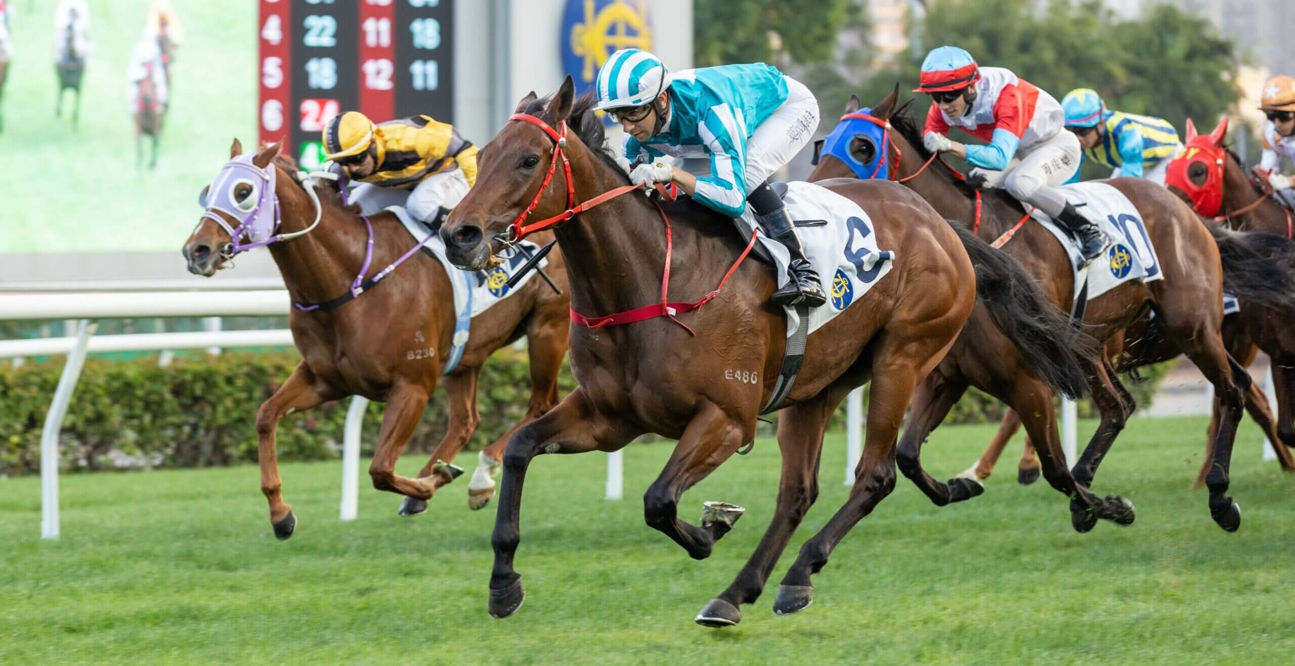 Injury scare sets Romantic Warrior a rare task - Asian Racing Report