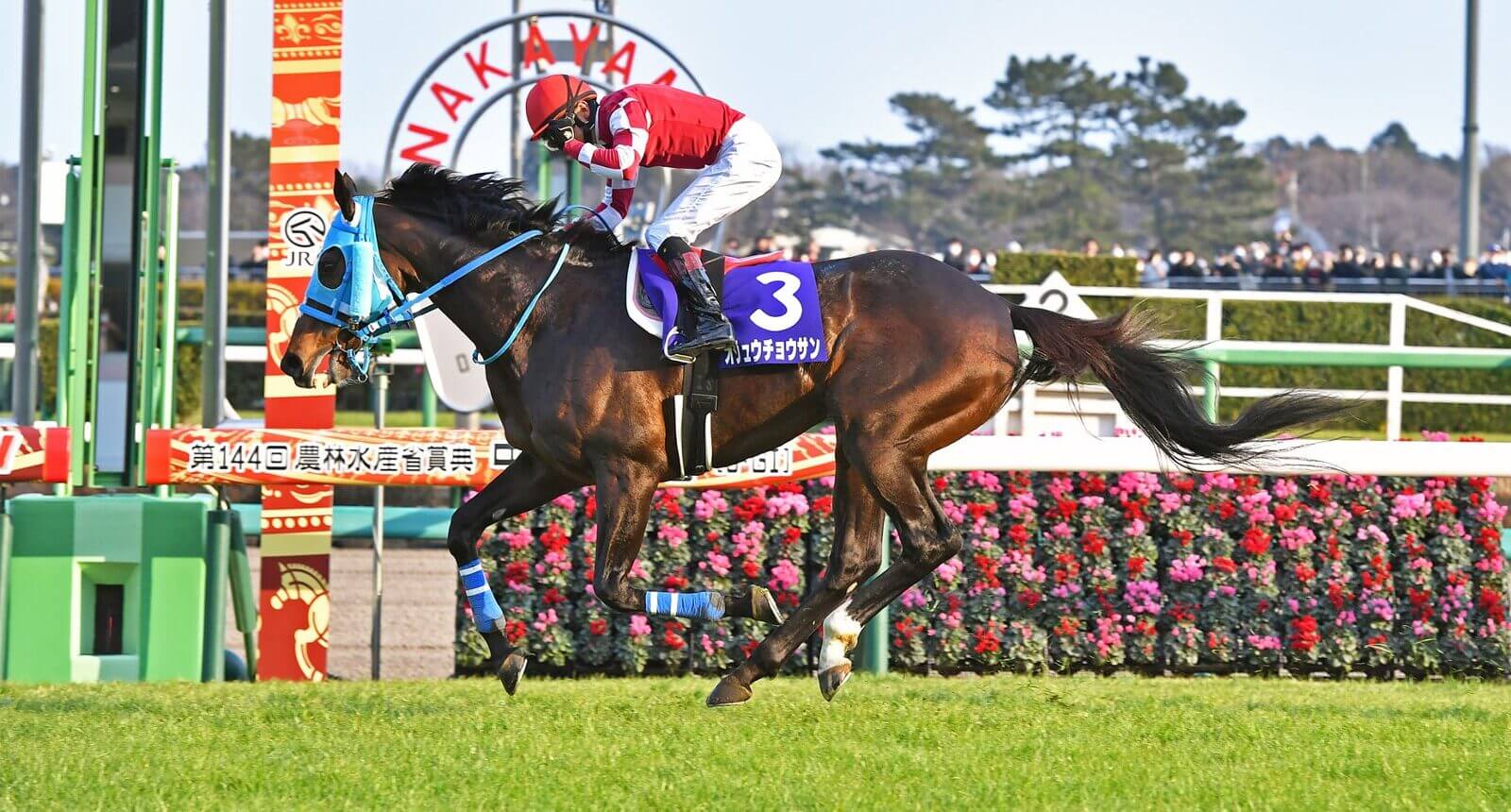 The Legend Of Oju Chosan Asian Racing Report