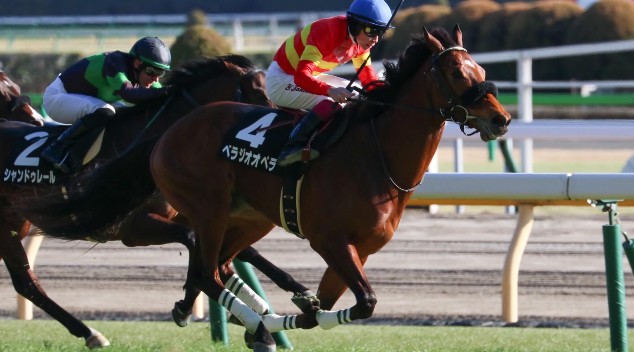 JRA Blackbook: Derby longshot rattles into autumn calculations - Asian ...