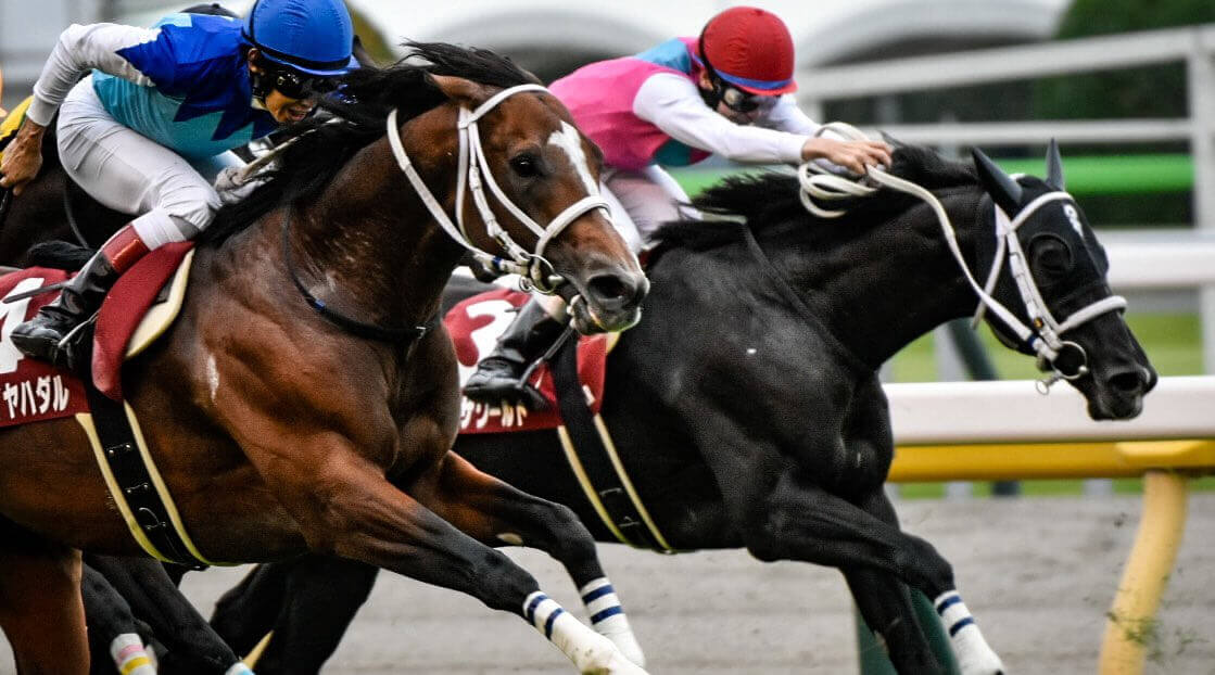 JRA Blackbook Hadar One To Admire Following G2 Mainichi Okan Asian 